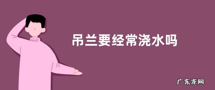 吊兰要经常浇水吗