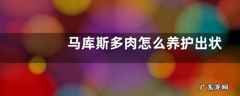 马库斯多肉怎么养护出状态