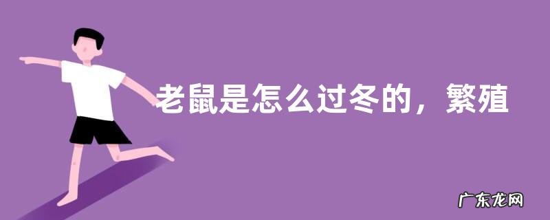 老鼠是怎么过冬的,繁殖能力强吗