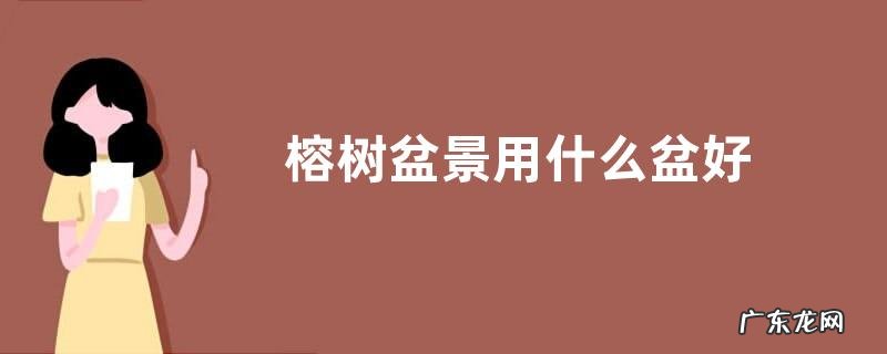 榕树盆景用什么盆好