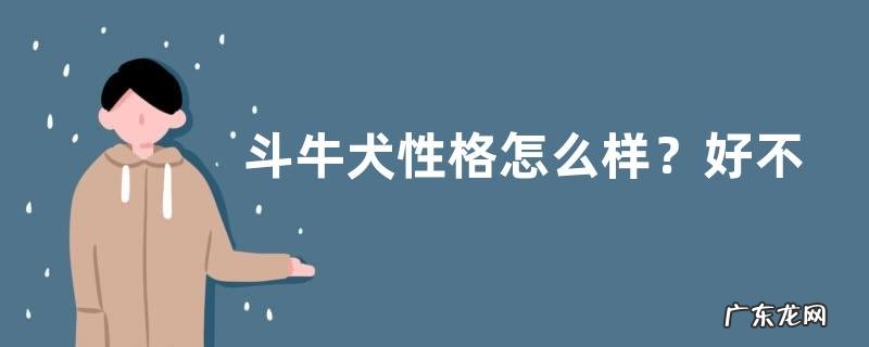 斗牛犬性格怎么样?好不好养?