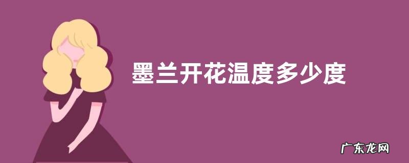 墨兰开花温度多少度