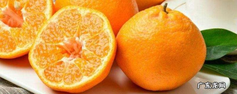 粑粑柑产地,和丑柑的区别