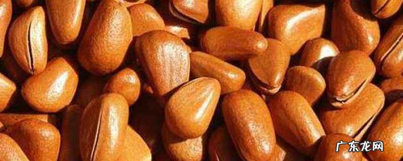 松子产地在哪里,如何挑选松子