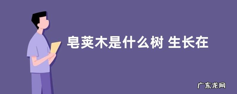 皂荚木是什么树 生长在什么地方