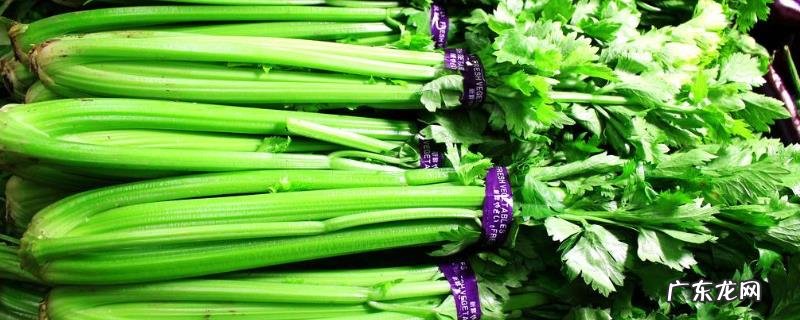 西芹是什么菜,西芹和芹菜的区别