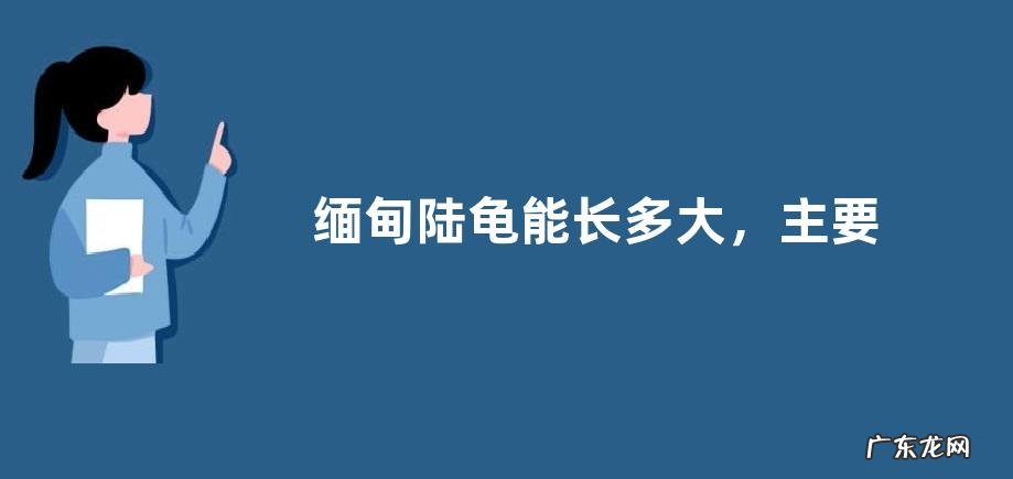 缅甸陆龟能长多大,主要分布在哪里