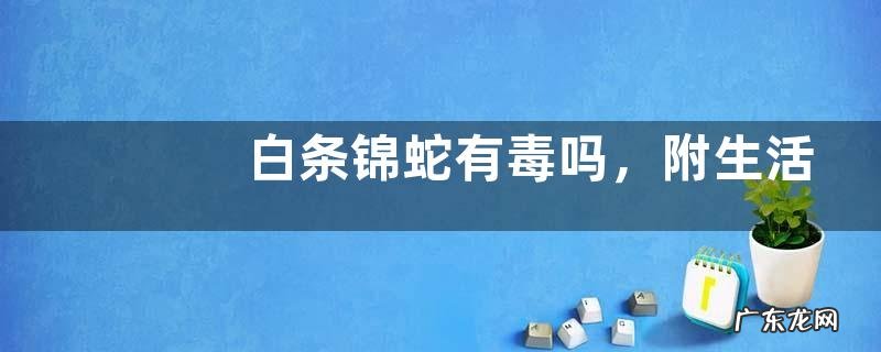 白条锦蛇有毒吗，附生活习性和养殖注意事项