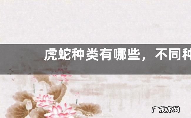 虎蛇种类有哪些，不同种类的外形特征不同