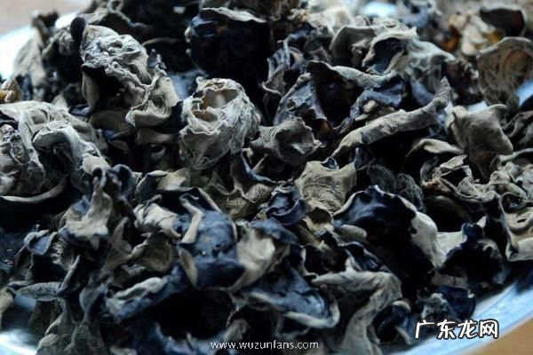 黑木耳产地在哪里,附功效作用