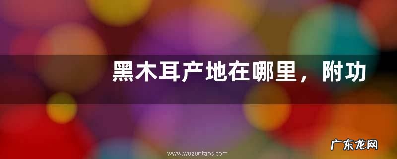 黑木耳产地在哪里,附功效作用