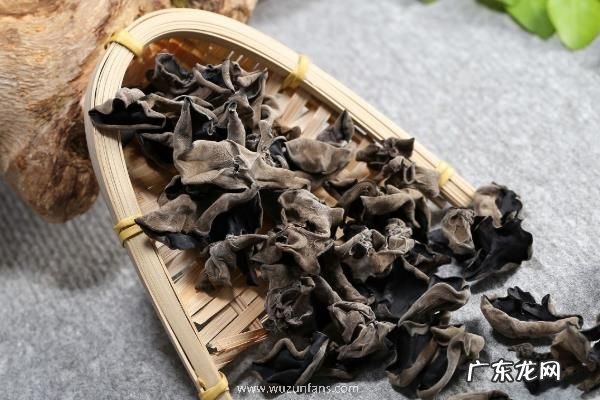 黑木耳产地在哪里,附功效作用