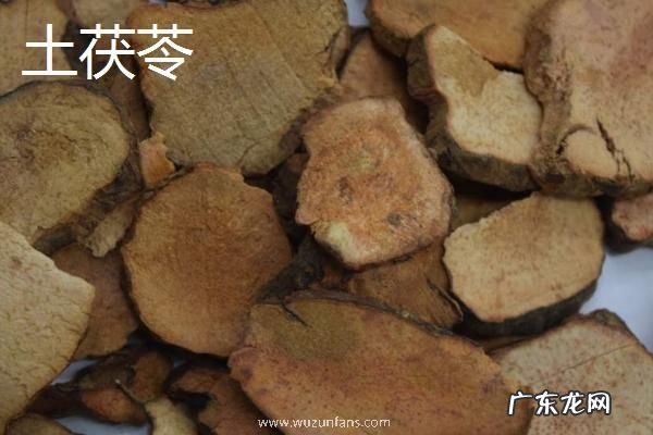 土茯苓与茯苓的区别是什么，科属、药性和功效都有区别