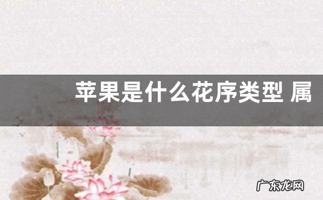 苹果是什么花序类型 属于伞状花序