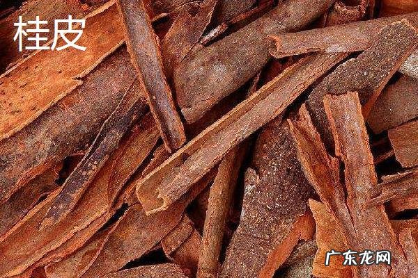肉桂和桂皮的区别，外观、应用、功效均有区别