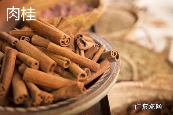 肉桂和桂皮的区别，外观、应用、功效均有区别