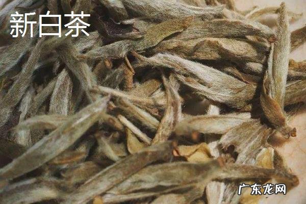 白茶种类有哪些,不同种类各具特点