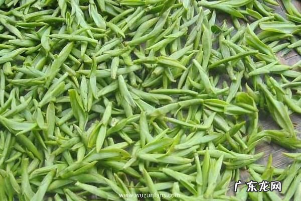 龙井是哪里产的茶,附品类和功效作用