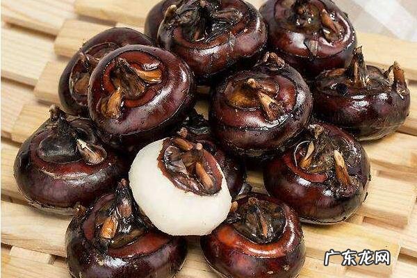 荸荠产地是哪里,适合生长在什么环境中