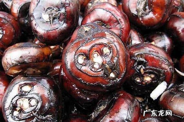 荸荠产地是哪里,适合生长在什么环境中