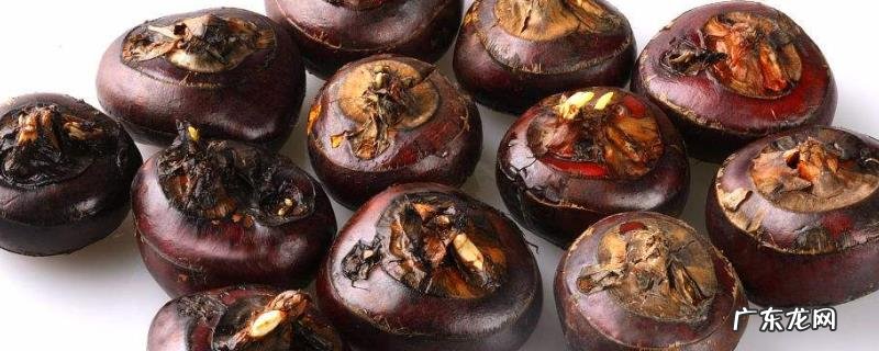 荸荠产地是哪里,适合生长在什么环境中