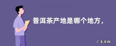 普洱茶产地是哪个地方，附饮用禁忌