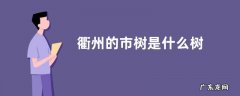 衢州的市树是什么树