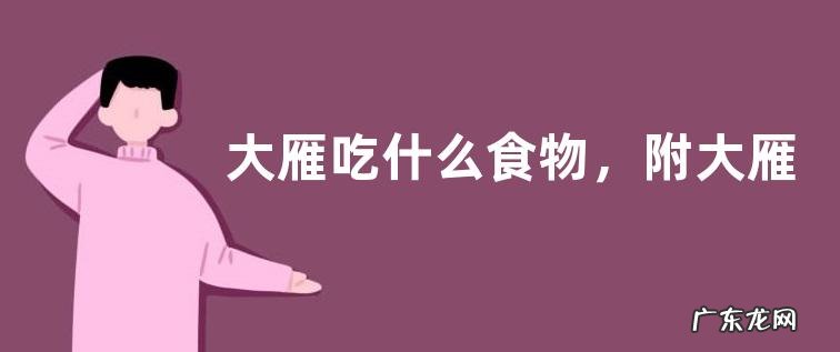 大雁吃什么食物,附大雁的饲料分类