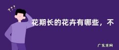 花期长的花卉有哪些，不同的品种花期不同