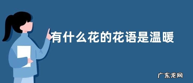 有什么花的花语是温暖 花语代表温暖的花