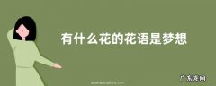 有什么花的花语是梦想 花语代表梦想的花