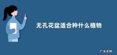无孔花盆适合种什么植物