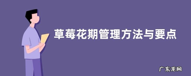 草莓花期管理方法与要点