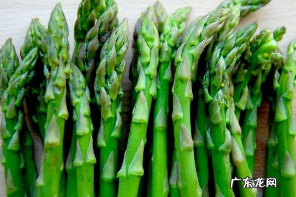 芦笋产地哪里,付芦笋的生长环境和价值作用
