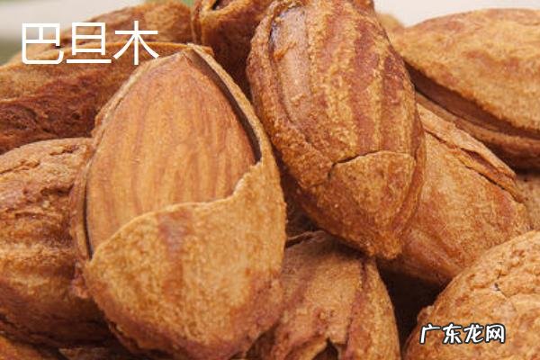 巴旦木和杏仁区别,种类、外形、口感和功效均不同
