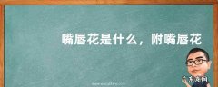 嘴唇花是什么，附嘴唇花的外形和分布