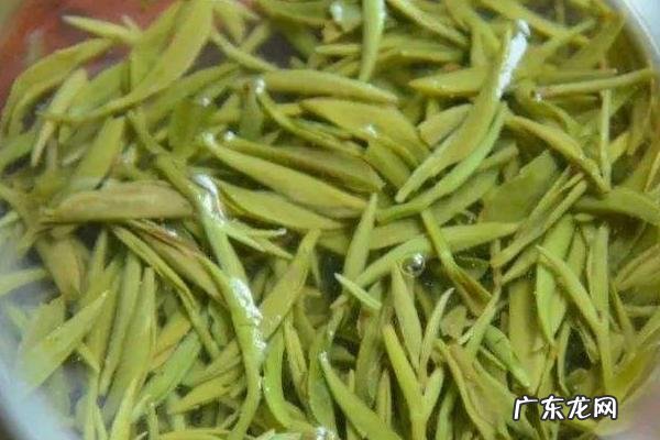 毛尖是绿茶吗?附毛尖的生产工艺