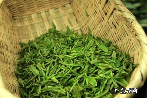 毛尖是绿茶吗?附毛尖的生产工艺