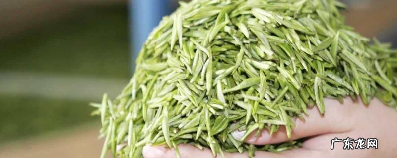 毛尖是绿茶吗?附毛尖的生产工艺