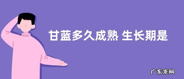 甘蓝多久成熟 生长期是多长时间