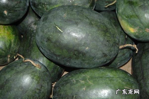 黑美人西瓜产地是哪里,如何挑选