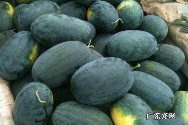 黑美人西瓜产地是哪里,如何挑选