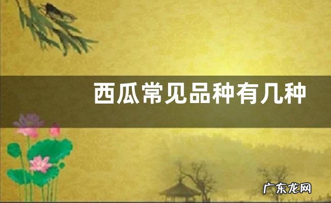 西瓜常见品种有几种