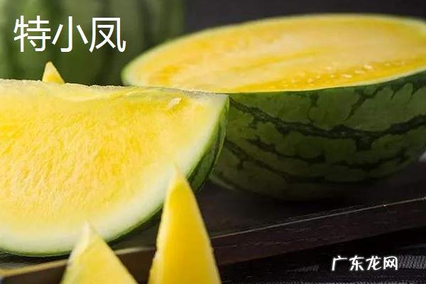 西瓜常见品种有几种