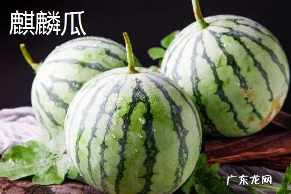 西瓜常见品种有几种