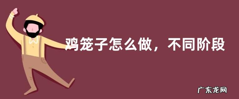 鸡笼子怎么做，不同阶段的鸡所需的鸡笼大小不同