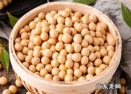 黄豆多久成熟 一般生长期多长时间