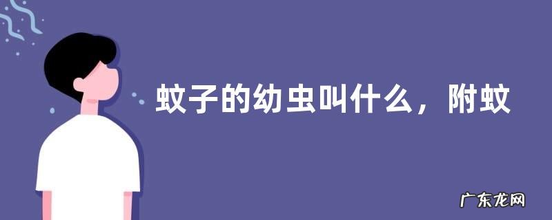 蚊子的幼虫叫什么，附蚊子的发育过程