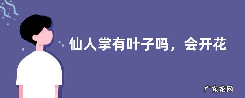 仙人掌有叶子吗,会开花结果吗,是否有毒?