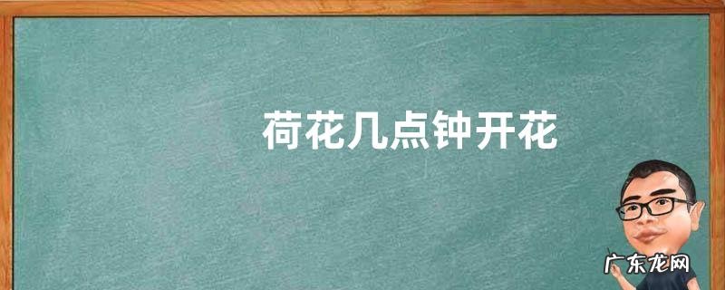 荷花几点钟开花